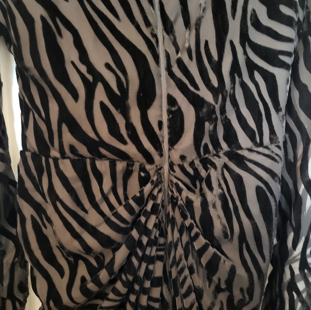Zebra Print Long Sleeve Dress - Picture 4 of 9